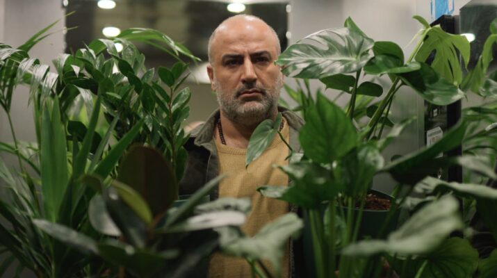 A Bit of light, la recensione del film
