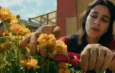 Cambiare l’acqua ai fiori recensione film Jean Pierre Jeunet Festa del Cinema Roma